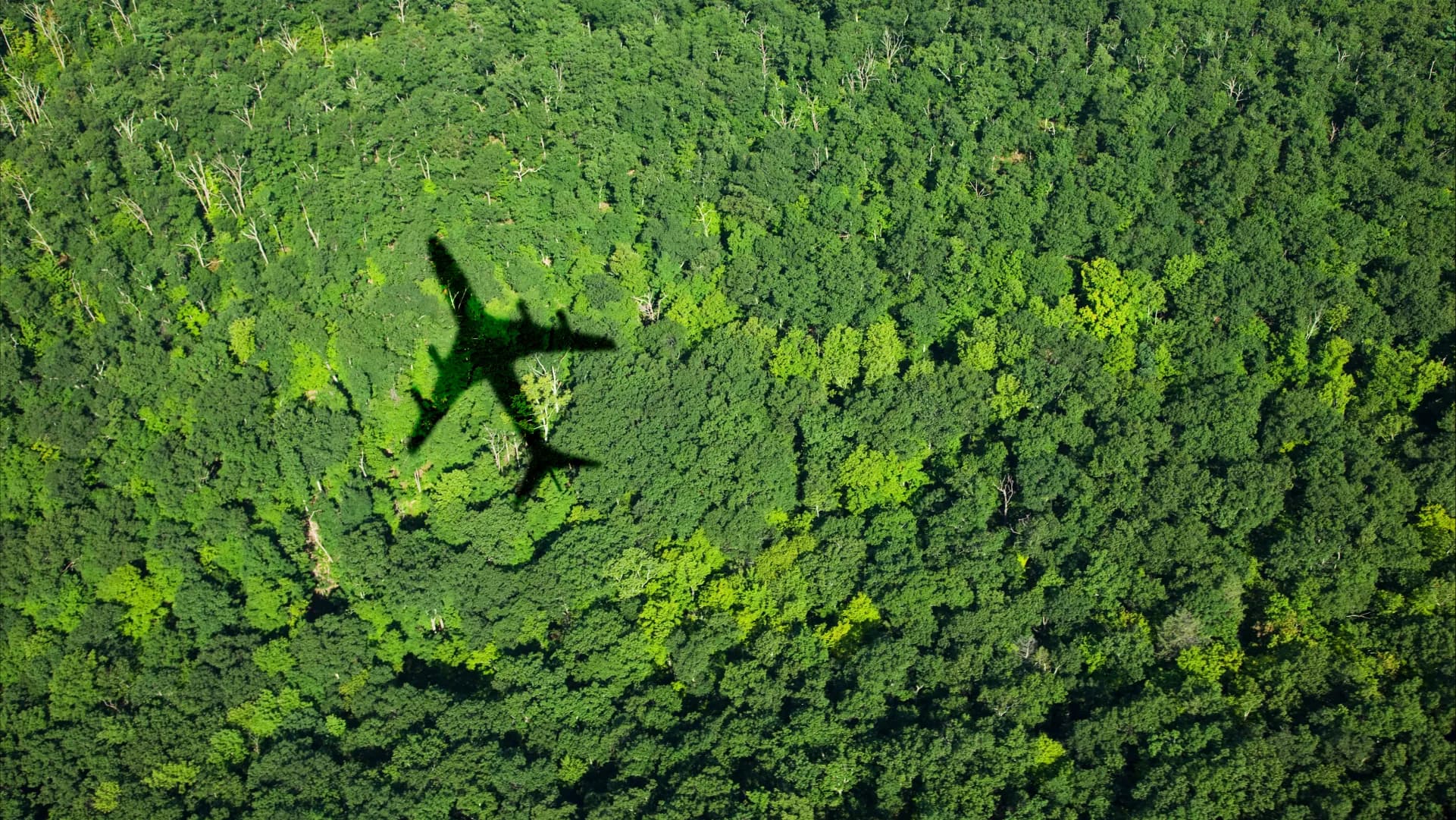 rams-and-certification-support-1