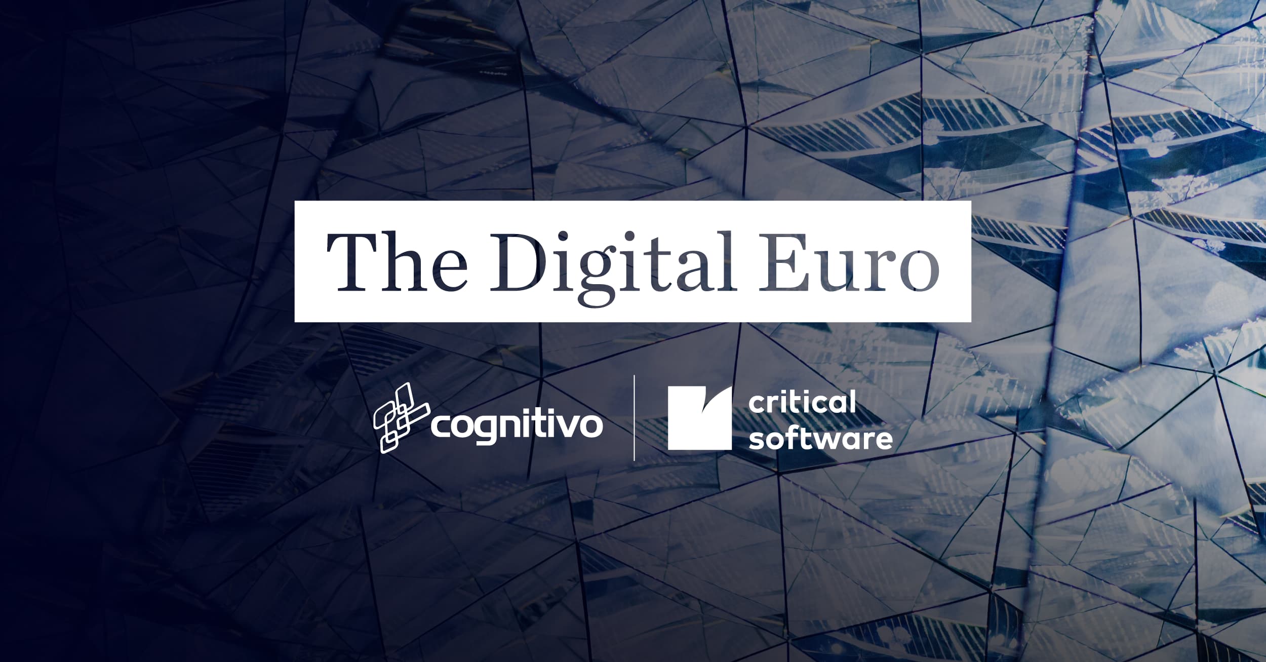 the-digital-euro-site-
